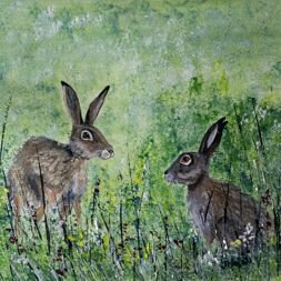 Hares